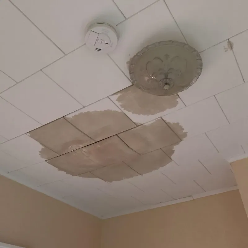 Ceiling Water Damage Repair in Hillsmere Shores, MD