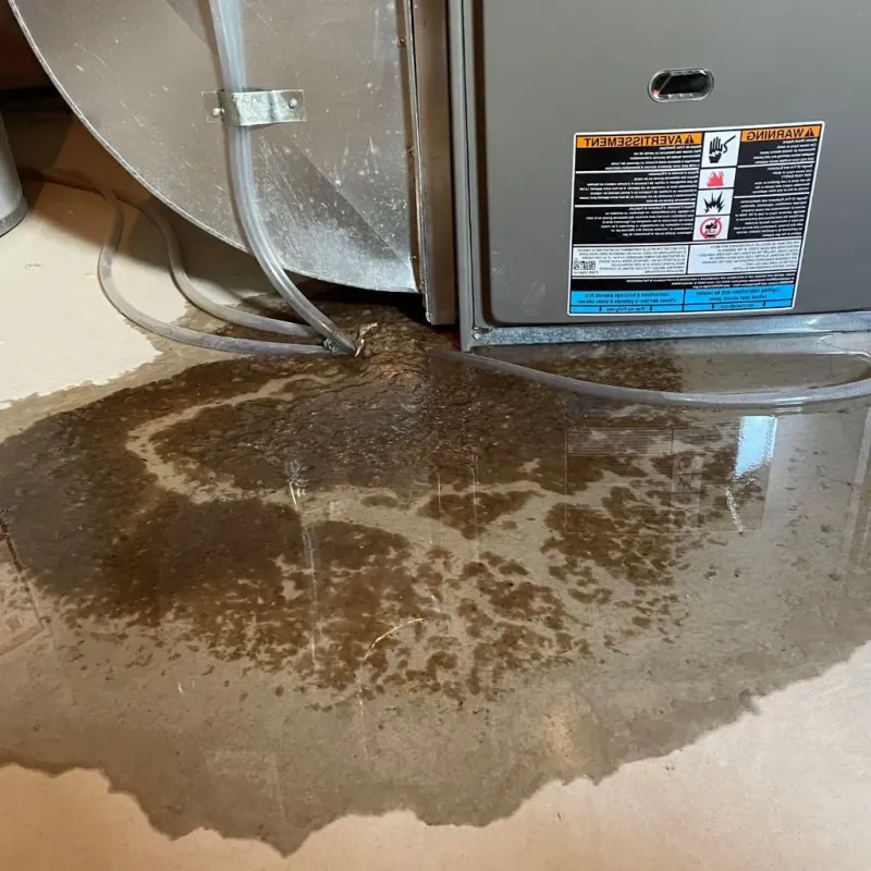 Pipe Burst and Leak Restoration in Hillsmere Shores, MD
